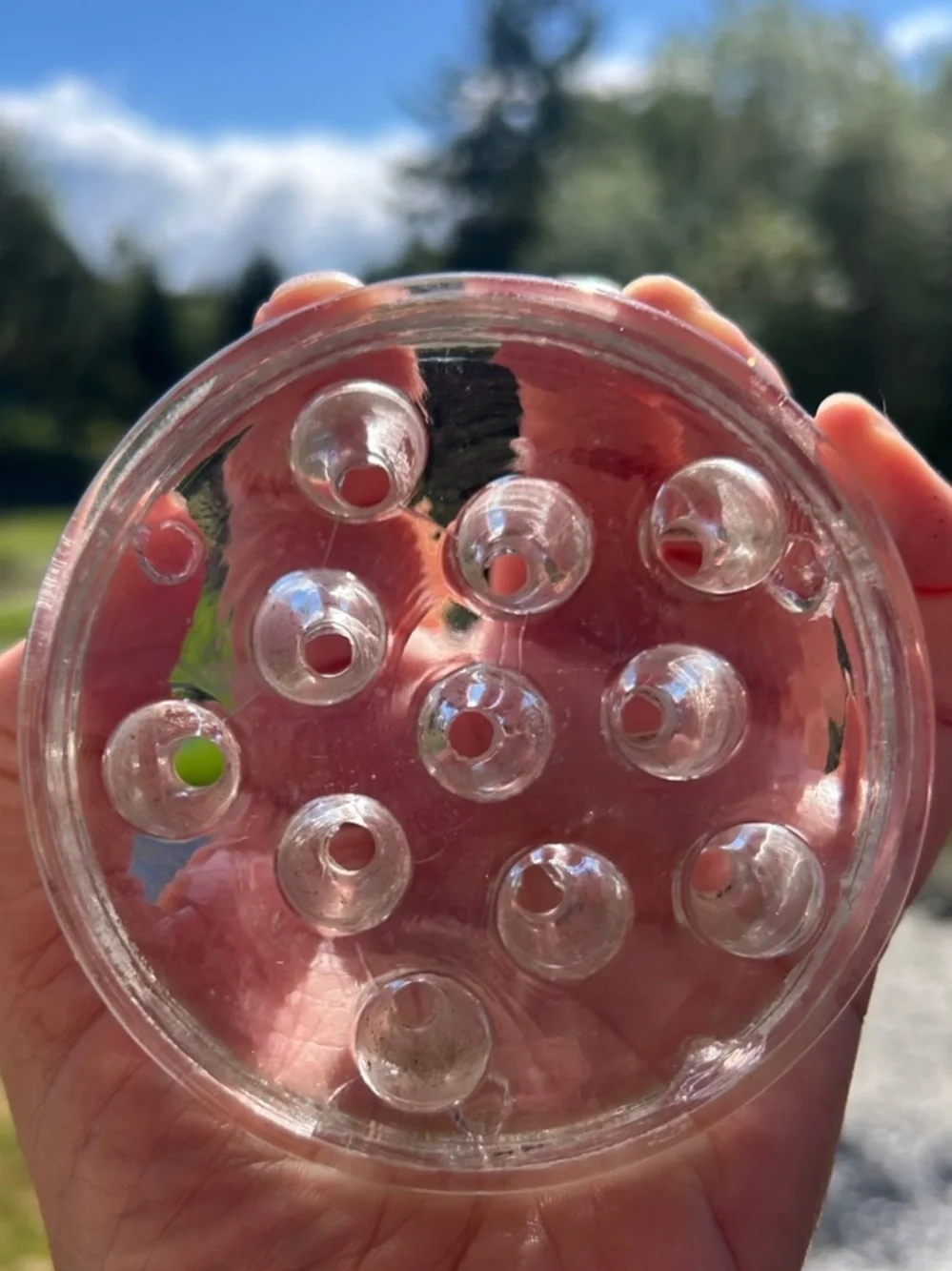 Clear Glass Flower Frog Vase Insert 11 Holes